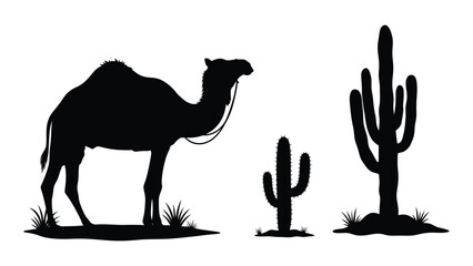 A black silhouette depicts a camel standing near desert cacti and sparse vegetation © MDRABBI