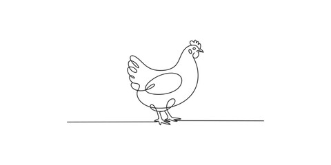 Continuous line drawing of a standing rooster or hen on a plain background chicken bird © SR