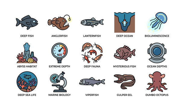 Deep sea creatures and marine biology concepts illustrated