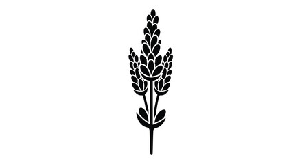 Fototapeta premium A simple black and white illustration depicts a stylized lavender sprig with detailed flower buds high quality
