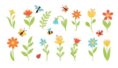 Obraz premium Floral set of flowers, twigs and insects