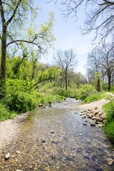 Obraz premium Creek at Swiss Valley Nature Preserve in Dubuque, Iowa