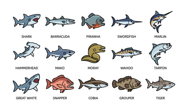 Cartoon sea creatures: shark, swordfish, piranha, and more - marine wildlife illustrations