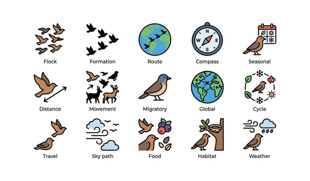 Bird migration icons: flock, compass, global navigation symbols for seasonal movement