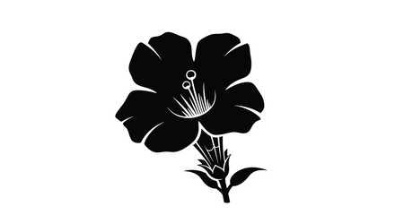 A striking black silhouette showcases a single evening primrose flower in full bloom high quality © Pvect02