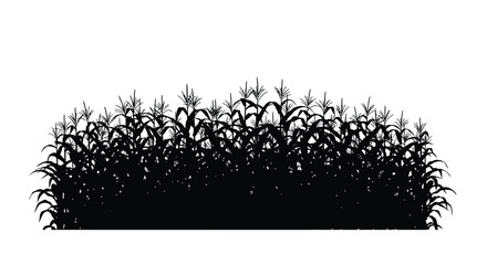 Dense field of corn stalks presented as a dark silhouette © Villain