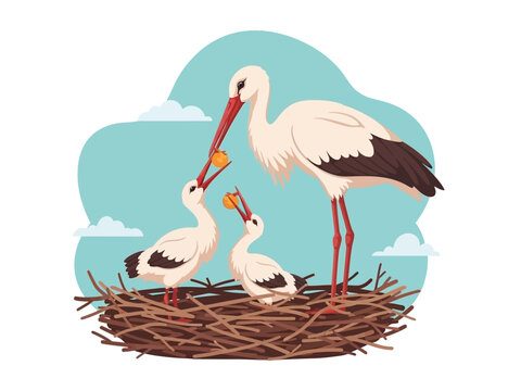 A stork feeding its chicks in a nest.