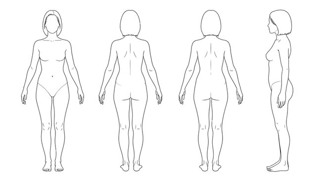 Human female body outline illustration.