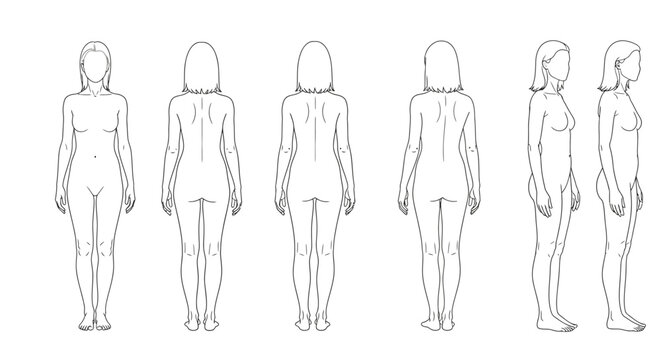 Human female figure outline drawings.