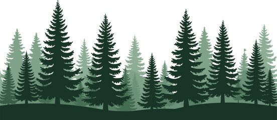 Obraz premium Layered evergreen pine forest landscape with misty conifer tree silhouettes serene green woodland nature background vector illustration design template