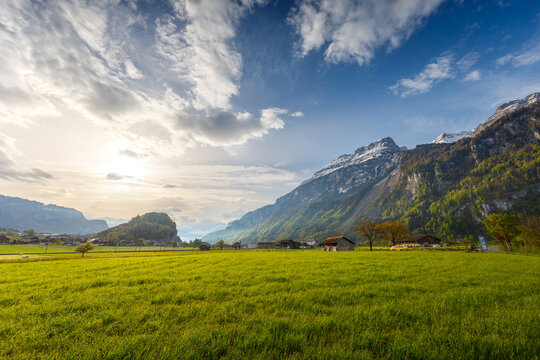 Green meadow in Brienz with the Ballenberg (view toward Meiringen)