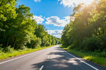Fototapeta premium Scenic Road Through Lush Green Forests