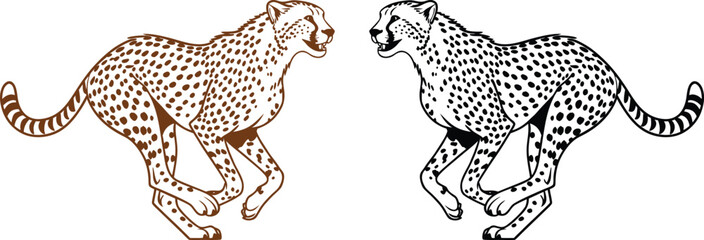 running cheetah pair illustration fast wild cats spotted predators sprinting big cats artwork © Photo Studio
