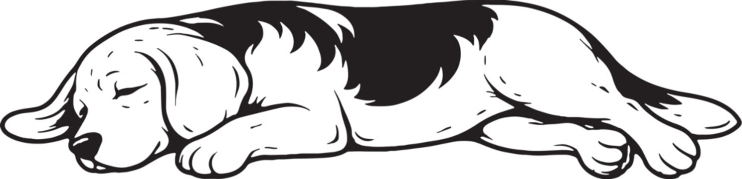 Beagle Sleeping on Side Relaxed Pose Black and White Line Art Illustration