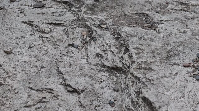 Detailed texture of rough light grey natural rock surface outdoors
