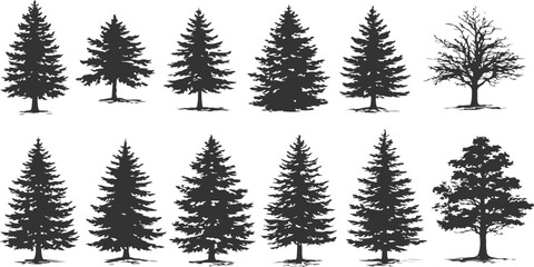 A collection of twelve distinct black silhouette tree designs isolated on a plain white background © MD