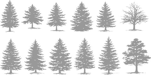 A collection of twelve gray silhouette tree icons isolated on a plain white background for design © MD
