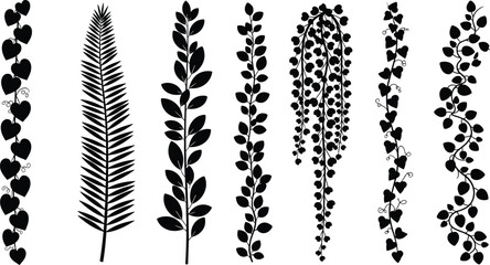 Hanging vine silhouettes set, tropical leaf borders and climbing plant vector icons, black ivy branches, floral decorative elements on white. © Fozila