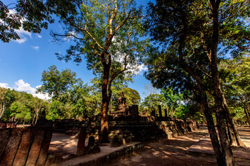 Fototapeta premium A natural backdrop of diverse trees growing along rivers or within historical parks provides a scenic view for tourists to admire along their journey.