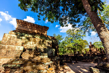 Fototapeta premium A natural backdrop of diverse trees growing along rivers or within historical parks provides a scenic view for tourists to admire along their journey.
