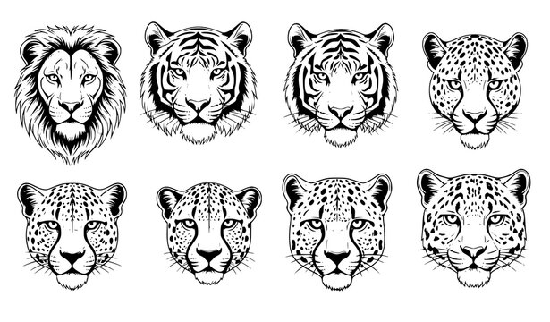 Black and white big cat head vector set lion tiger leopard cheetah snow leopard tattoo style wildlife illustration