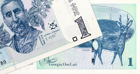 1 Lari Georgian Banknote with Tbilisi Panorama and Deer. Vintage money of Georgia.