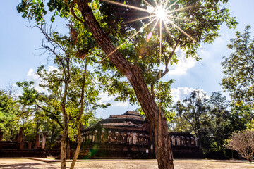 Fototapeta premium A natural backdrop of diverse trees growing along rivers or within historical parks provides a scenic view for tourists to admire along their journey.