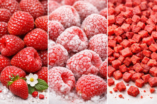 Fresh, frozen and freeze-dried raspberries in a macro triptych collage, vibrant red berry texture, food comparison background for packaging, healthy snack, smoothie and dessert ingredient.