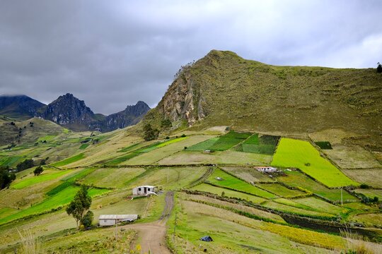 Andean Hills With Agricultural Fields and Dirt Road (Cotopaxi Province, Ecuador)