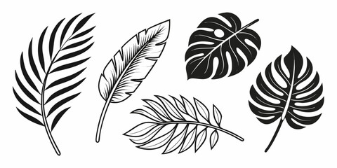 Diverse collection of tropical and deciduous leaves © Mamun