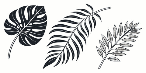 A collection of tropical leaves showcasing nature's diverse foliage patterns and shapes © Mamun