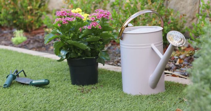 Camera pulling back, revealing watering can and flowering pot at garden bed to show tools