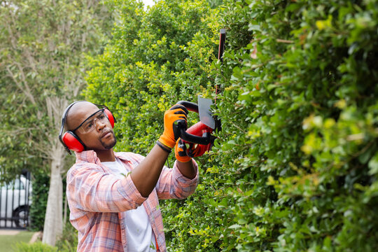 Trimming man in orange gloves, red earmuffs, cutting hedge with red trimmer at yard, copy space