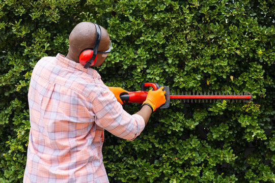 Adult African man trimming hedge in yard using red hedge trimmer, wearing orange gloves, copy space