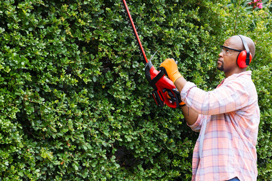 African American man trimming dense hedge with red trimmer, controlling overgrowth, copy space