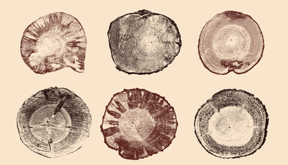 Naklejka premium Set of brown tree ring cross sections, wood slices isolated. Tree stump cuts with natural growth rings, trunk slabs, detailed ring patterns. Organic wood texture elements for background design.