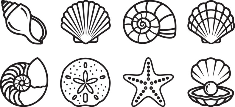 Assorted illustrations of seashells and a starfish in black and white Vector