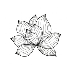 Obraz premium Black and White Line Drawing of Magnolia.