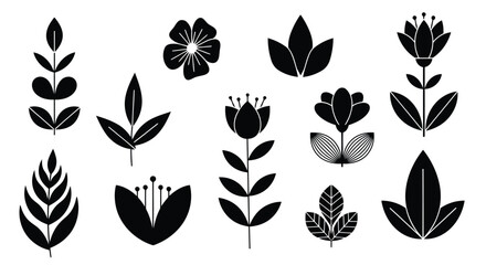 A collection of various types of leaves and ferns in black and white illustration © Raju