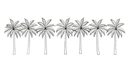 Obraz premium A row of palm trees with leaves isolated on transparent background, Vector