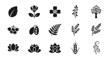 A diverse collection of sixteen different types of leaves and plants in black and white © MohammadMasud