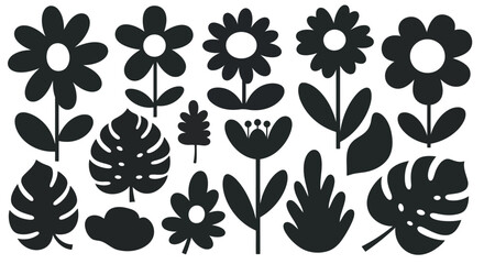 A diverse collection of various leaf shapes and patterns in black and white © MohammadMasud