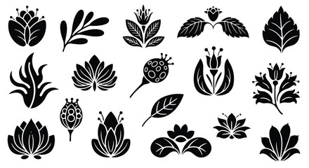 A diverse collection of various types of leaves and plants in a symmetrical arrangement. © MohammadMasud