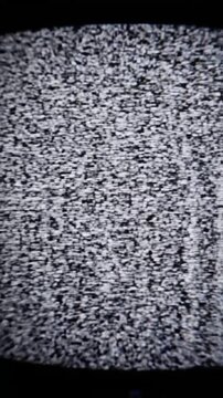 Visual noise background effects on monitor during export process with VSRExport software