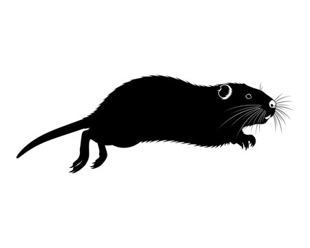 Jumping Nutria Silhouette Vector Illustration Isolated on White Background