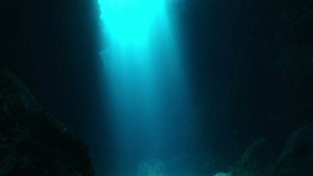 ウォーターイメージ