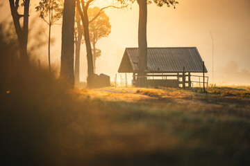 Naklejka premium Rural sunrise wooden hut countryside morning fog tranquil nature landscape peaceful sunlight tree grass field rustic outdoor shelter serene dawn agriculture farm environment scenic meadow calm