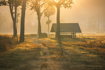 Fototapeta premium Sunset countryside landscape with rural field and small house peaceful nature golden light misty morning calm environment hope tranquility scenic farmland outdoor lifestyle