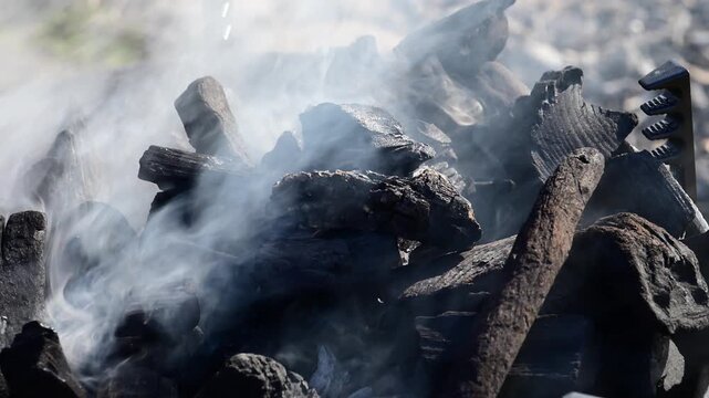 white smoke billowing intensely through a pile of black charcoal lumps in a fire pit, with bright sunlight highlighting the swirling smoke patterns and the rugged texture of the wood coal.