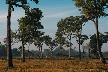 Fototapeta premium Sunset countryside landscape with rural field and small house peaceful nature golden light misty morning calm environment hope tranquility scenic farmland outdoor lifestyle